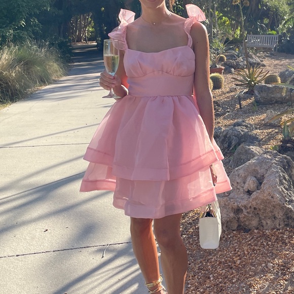 SOLD Pink Ruffle Mini Dress - Picture 8 of 10